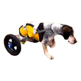 Carrito Fit Perro 20 A 25 Kg Discapacidad Trasera