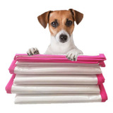 Kit 3 Tapetes Higiênicos Lavável Econômico 80x60cm Para Cães