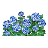 Pegatinas De Pared De Flores Hortensias Azules Hoja Ver...