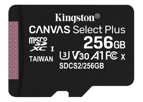 Cartão De Memória Kingston 256gb Microsd Clas 10 Sdcs2/256gb