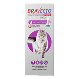 Bravecto Plus Gatos De 6,25kg A 12,5kg - 500mg