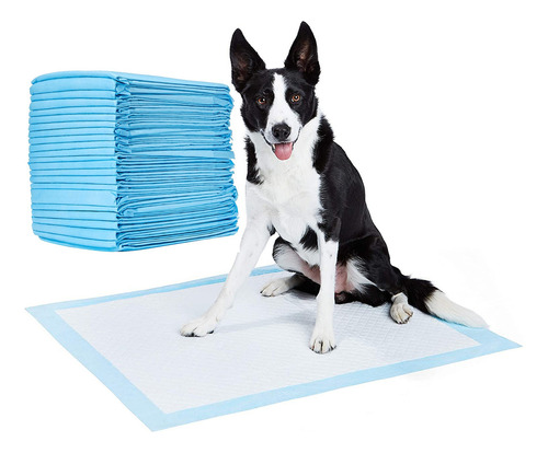 Pads De Entrenamiento Para Perros Y Cachorros, Resistentes Y