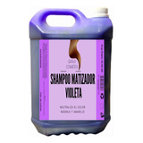 Shampoo Matizador Violeta 5 Litros 