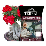 Substrato Rosa Deserto Pro Flores Cor Vibrantes Kit 2 Sacos