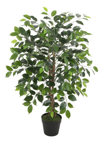 Ficus Benjamina De 90 Cm, Vadell Home
