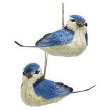Pájaros Sisal Azules Jay, 2 Variados Navidad.
