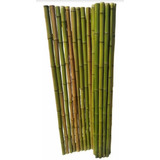 Caña De Bambú Por Unidad