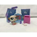 Conjunto Littlelest Pet Shop  Pet Express Hasbro