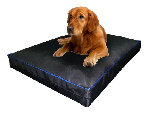 Colchon Liso Antidesgarro 110x90x12 Cm Cama Para Perros