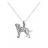 Dije Y Cadena Perro Dalmata Plata 925 Con Envio