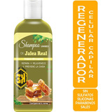 Shampoo De Jalea Real Regenerador Capilar 500ml Vivonatural