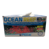 Prodacn Sal Arrecife Ocean Reef 20kg Acaurio Pecera Peces