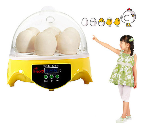 Mini Digital Incubadora Ovos Transparentes Incubadora Ovos