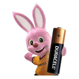 Pilas Alcalinas Duracell Aa X1 Unidad