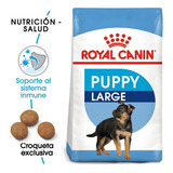 Royal Canin Maxi Puppy 2.72 Kilos Original