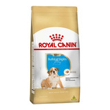 Ração Bulldog Inglês Puppy 12kg Royal Canin