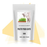 Semillas Repuesto De Pasto Gatuno, Pasto Para Gatos X 3 Unid