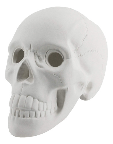 Myard Huecos Eye Sockets - Tronco De Gas De Calavera Humana.