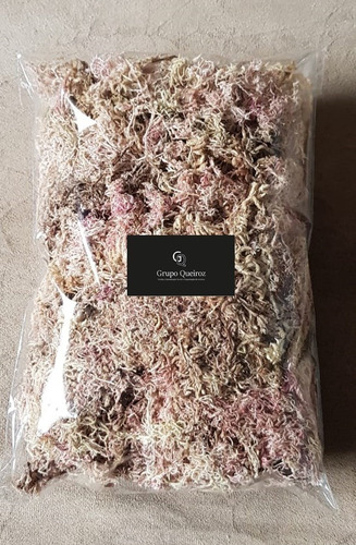 Substrato Sphagnum - Musgo - 150g