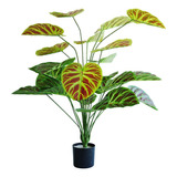 Planta Artificial Decorativa Hojas Deltoides Cafe De 100cm