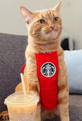 Cosplay Disfraz Mandil Delantal Para Gato Perro Mascota Cafe