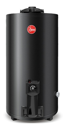 Termotanque Rheem Tgnp080r 80l Conexión Superior Gas Natural