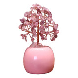 Feng Shui Money Tree Desktop Árvores De Riqueza Para Rosa