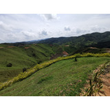 Venta Lote Campestre En Cisneros, Antioquia