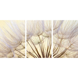 Quadro Flower Dandelion Seed Semente Dente-de-leão Canvas