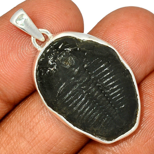 Dije Plata Con Trilobite