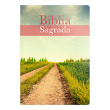 Bíblia Sagrada Evangelize - Acf - Capa Brochura Neutra, De Vários Autores. Editora Geográfica, Capa Mole Em Português, 2023