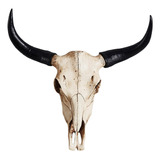 Cráneo De Toro Decoración De Pared Cráneo De Vaca Adorno