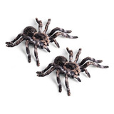 1 2pcs 9.5cm Grande Falso Realista Aranha Inseto Modelo