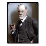 #485 - Cuadro Vintage 30 X 40 - Sigmund Freud Psicología 