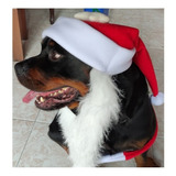 Gorro Navideño Perro Mascotas Cosplay Con Bufanda Y Barba