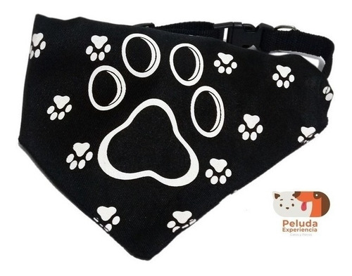 Collar Para Perros Y Gatos Con Pañoleta Talla S