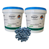 Storm Basf Bloque Original Rodenticida Veneno Ratas 2kg 