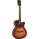 Guitarra Electroacustica Eko V Sunburst 06217181