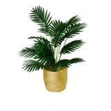 Planta Palmera De 65 Cm