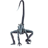 Alien 7  Scale Figures Arachnoid Alien (neca)