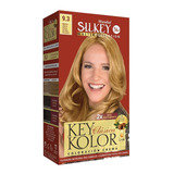 12 Tinturas Silkey Key Kolor Clásica  Coloración Kit 3c