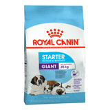 Alimento Royal Canin Size Health Nutrition Starter Mother & Babydog Para Perro Cachorro De Raza Gigante Sabor Mix En Bolsa De 10 kg
