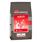 Club Performance Alimento  Gato Adulto X 7.5 Kg