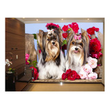 Papel De Parede 3d Animais Yorkshire Pet Shop 3,5m² Anm363