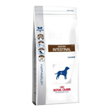 Royal Canin Gastrointestinal Dog 10 Kg Envio Correo Gratis+
