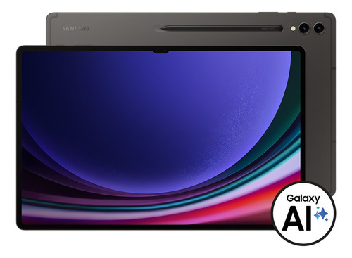 Galaxy Tab S9 Ultra Gris Sm-x910nzaamxo 256gb