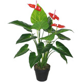 Planta Decorativa Anthurium 80 Cms.