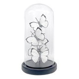 Escultura Decor Borboletas Na Cupula De Vidro Branca E Preta