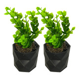 Kit 2 Un Vaso Para Plantas Mini Suculentas - Com Plantas