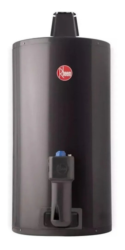 Termotanque De Colgar Gn 80lts Rheem Tgnc080rh